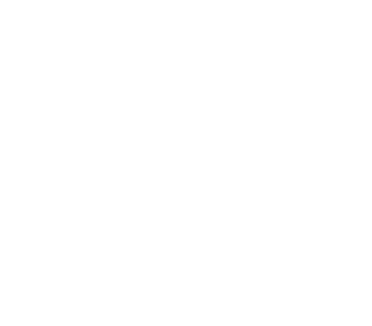 THE ALL-NEW LBX